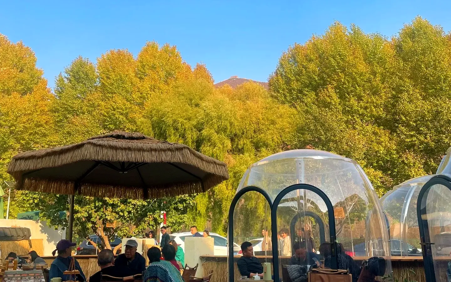 Guests seated beside a Domevora dome under autumn trees