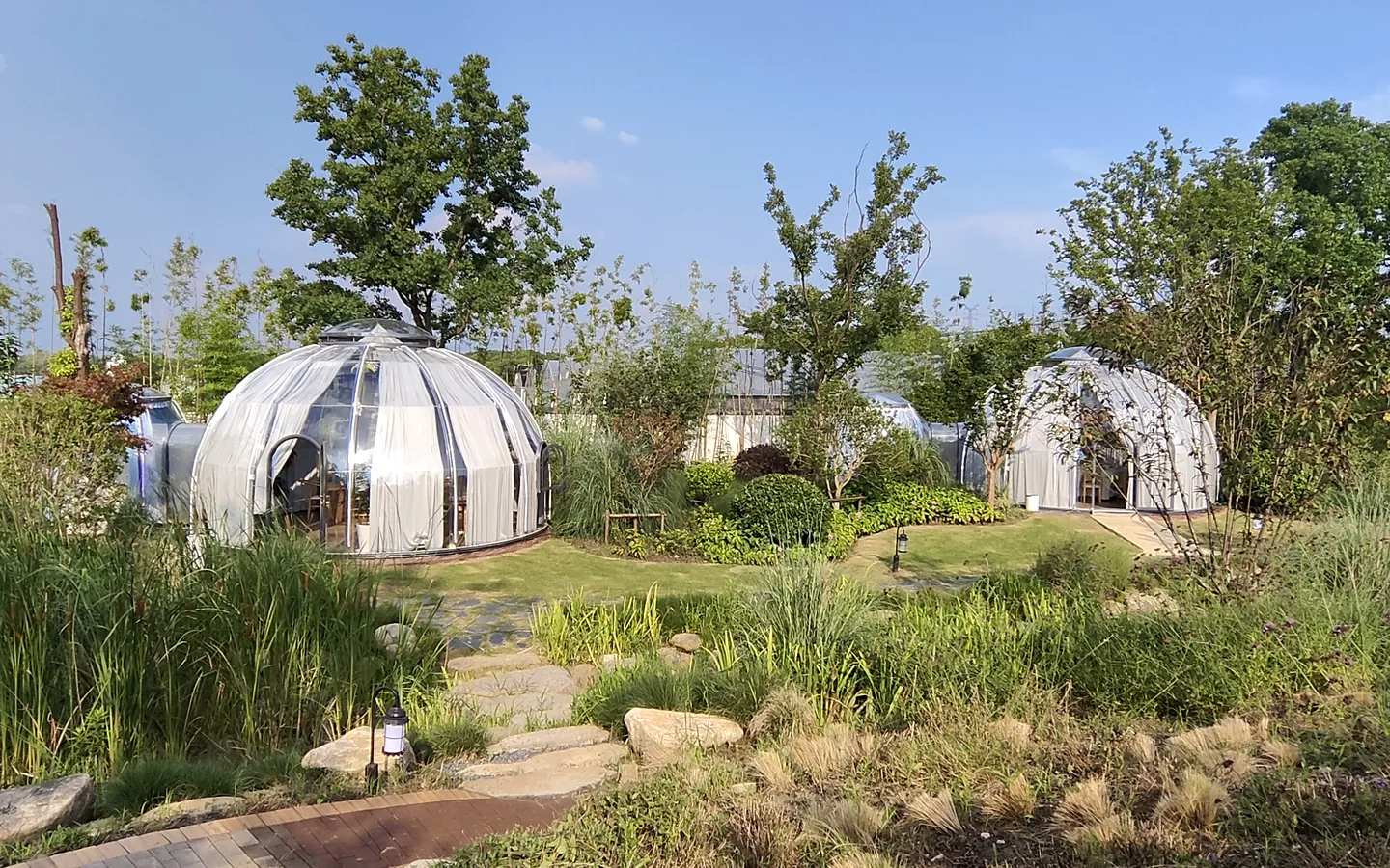 Transparent Domevora domes in a planted garden setting